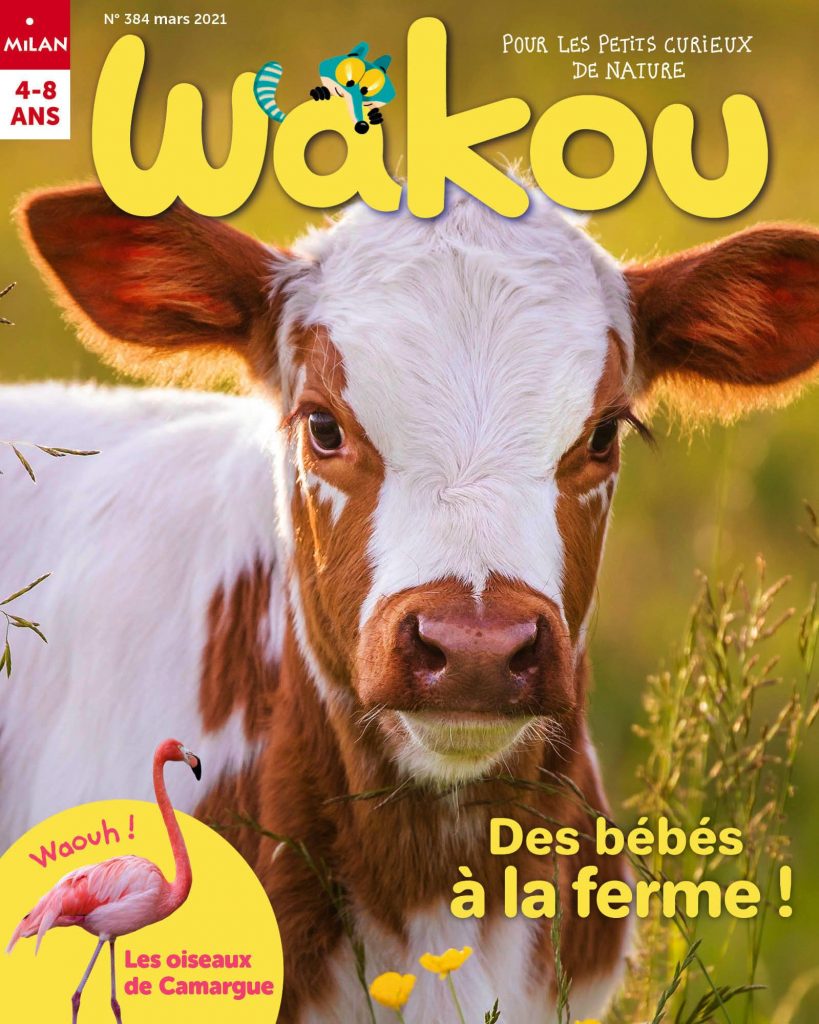 Des bébés à la ferme