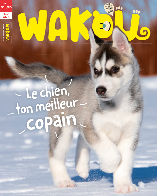 Le Chien, ton meilleur copain